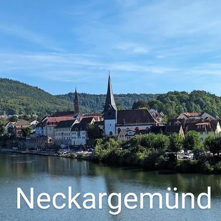 Mondholz-tiny-haus Im Neckartal Nyaraló